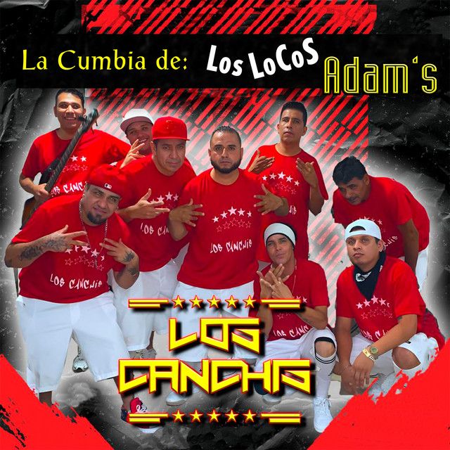 Los canchis