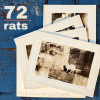 72 Rats Drops New Post-Punk Album with a Bittersweet Taste, ‘it all burns down someday’