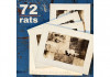 72 Rats
